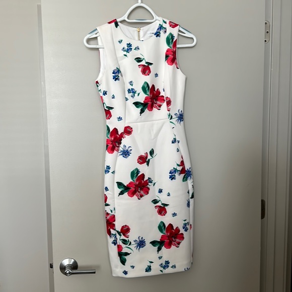 Calvin Klein Sheath Dress - Size 2 - Picture 1 of 8